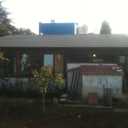 Bed And Breakfast Fly-2