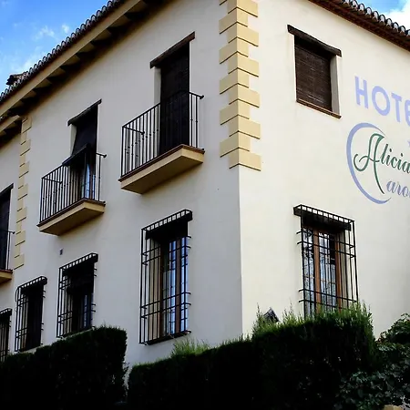 Hotel Boutique Alicia Carolina-3