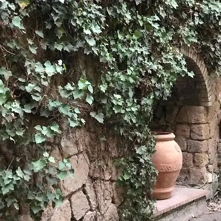 Princess B&B Frascati-3