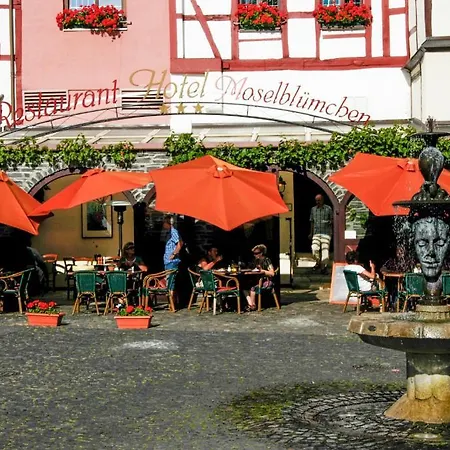 Hotel-Restaurant Moselblümchen-2