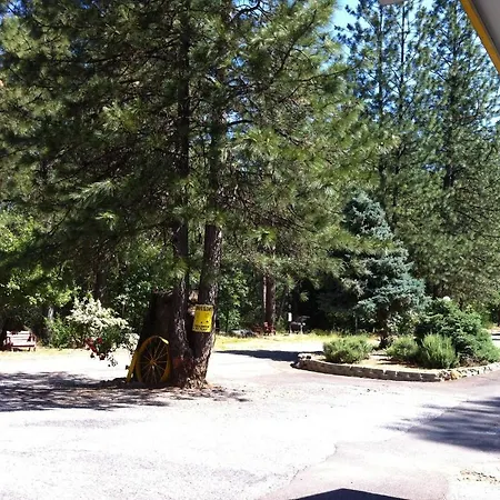 Golden Chain Motel-3