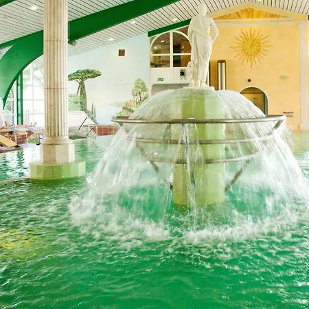 Hotel Birkenhof Therme-2