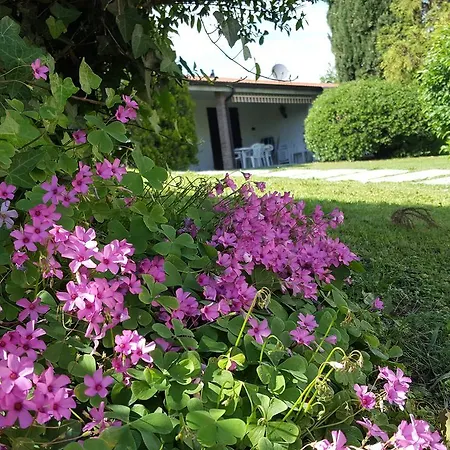 Italsol Residence Riai-3