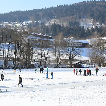 Hotel Der Seehof-3