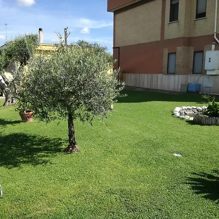 B&B Casa degli Ulivi-2