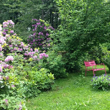 Hotel am Bach-3