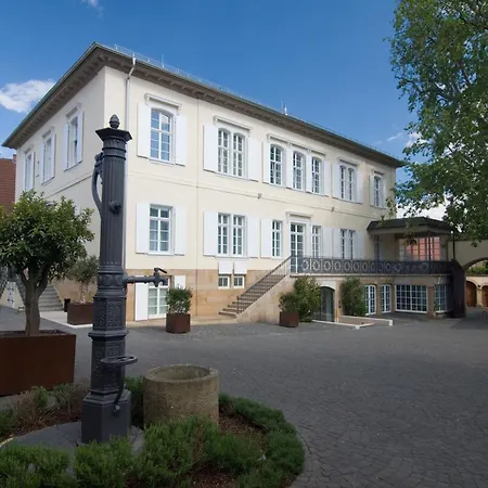 Hotel Ketschauer Hof-3