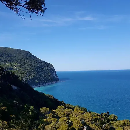 Amare Sirolo-3