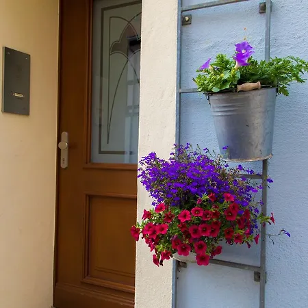 Hotel Blaue Blume-3