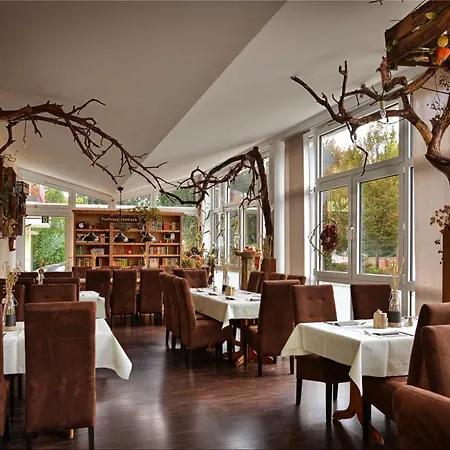 Hotel Zur Linde-3