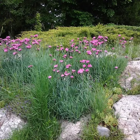 La Renaudière-3