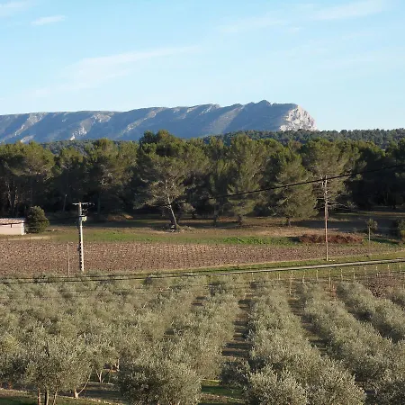 Domaine de L'Olibaou-3