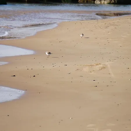 Sottovento Playa-2
