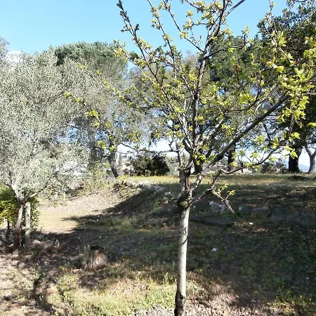 La Maison des Oliviers-2