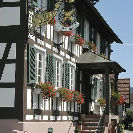 Gasthof Blume Offenburg Hotel&Restaurant-3