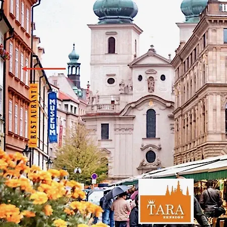 Pension Tara-2