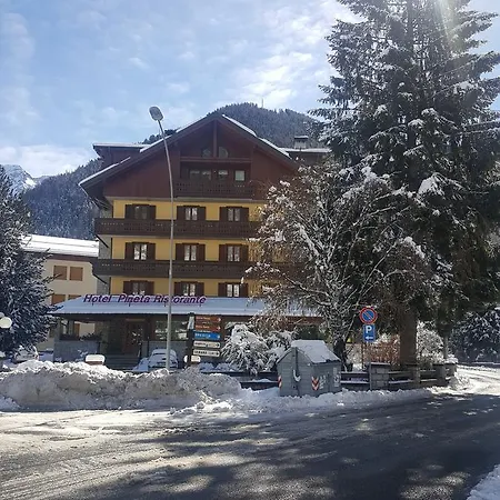 Hotel Pineta-2