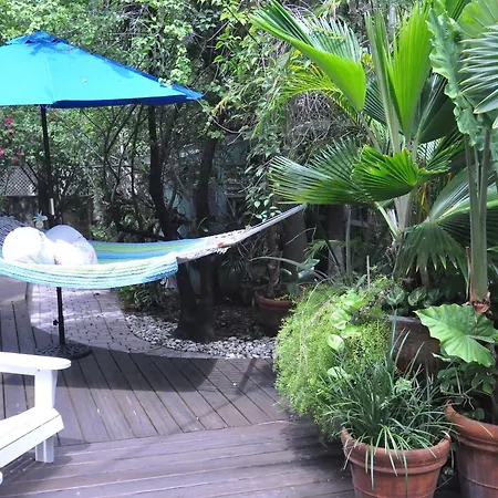 Pineapple Point Guesthouse & Resort - Gay Men'S Resort-2