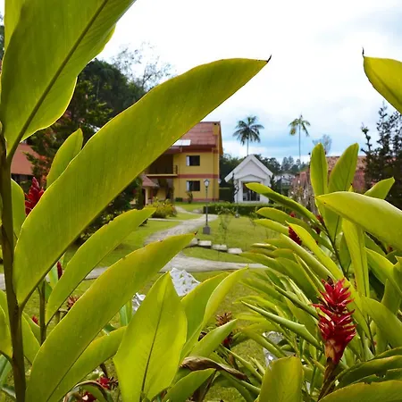 Hotel Girassol-3
