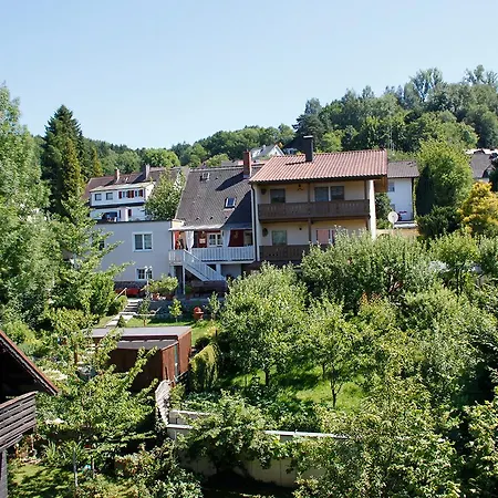 Pension Vicus-3
