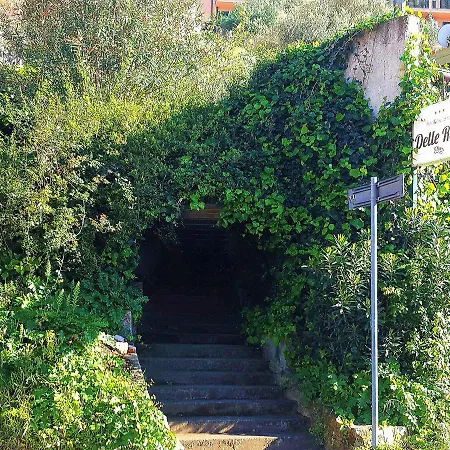 Delle Rose-2