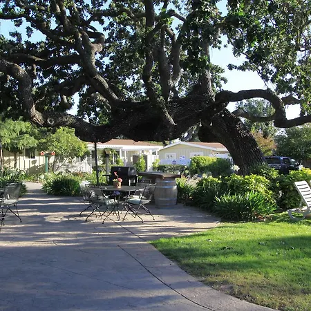Meadowlark Inn-3