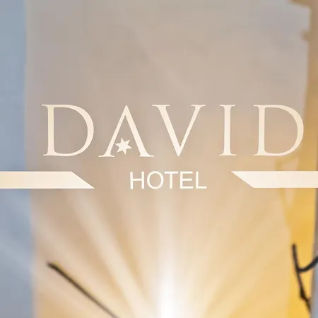 Hotel David an der Donau-3