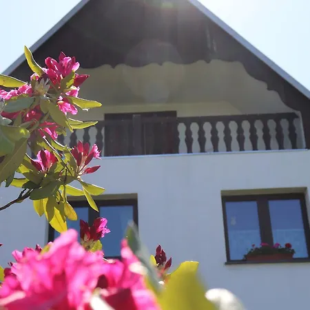 Pension Hubertushof-3