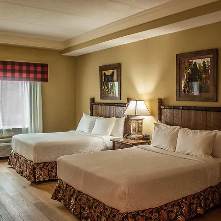The Appy Lodge-2