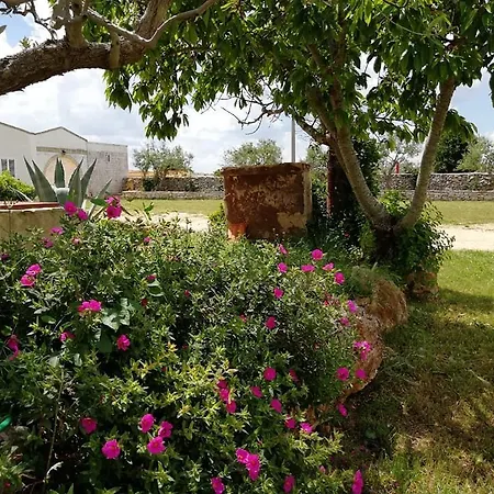 B&B Villa Flora-3