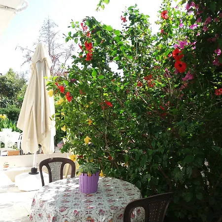 Cizmeci Apart Hotel-2