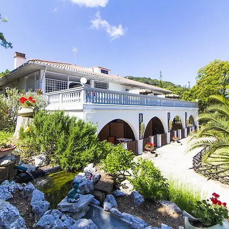 Residence Oasis-2