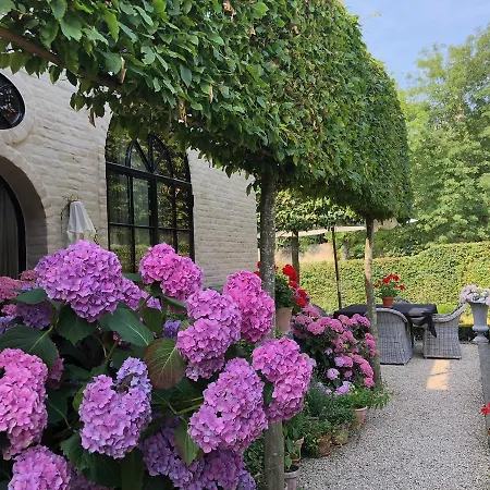 Guesthouse Villa Vauban-2