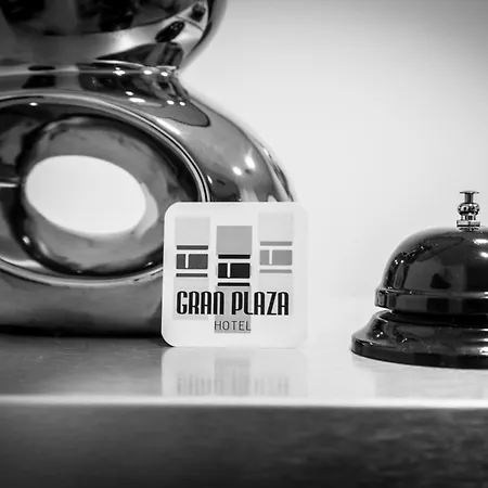 Hotel Gran Plaza-2