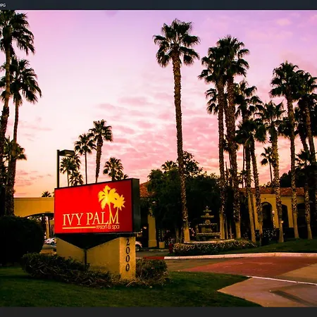 Ivy Palm Resort And Spa-2