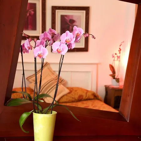 Chez Madame Cailleau-2