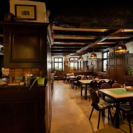 Hotel Alt-Ringlein-3