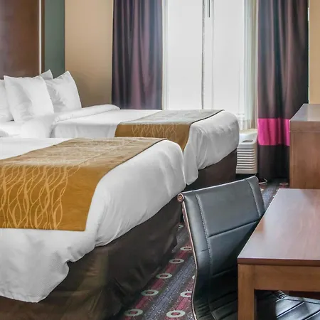 Comfort Inn & Suites San Marcos Near Outlet Mall-2
