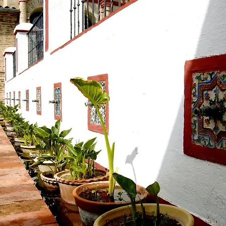 El Palacio de San Benito-3