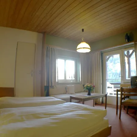 Hotel Friedenshoehe-2