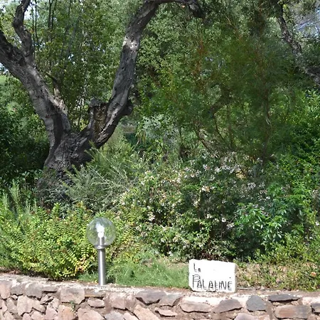 B&B La Palatine-3