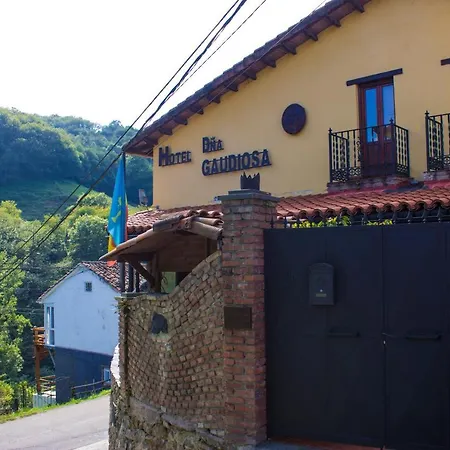 Hotel Doña Gaudiosa-2
