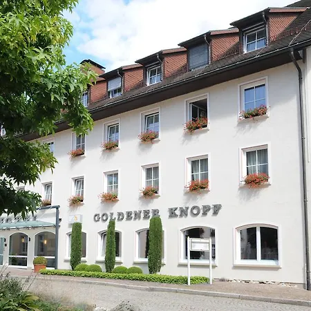 Ringhotel Goldener Knopf-2