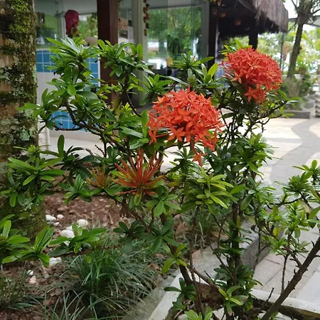 Pousada Morada Das Ilhas-2