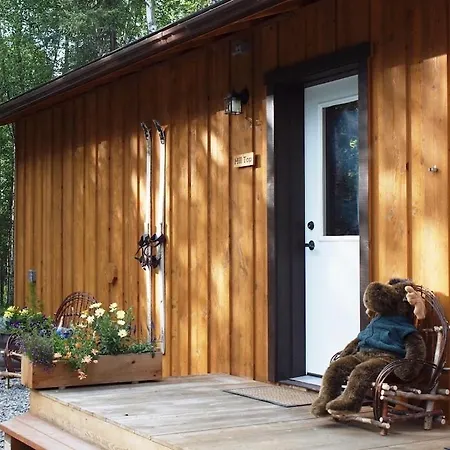 Talkeetna Lakeside Cabins-2