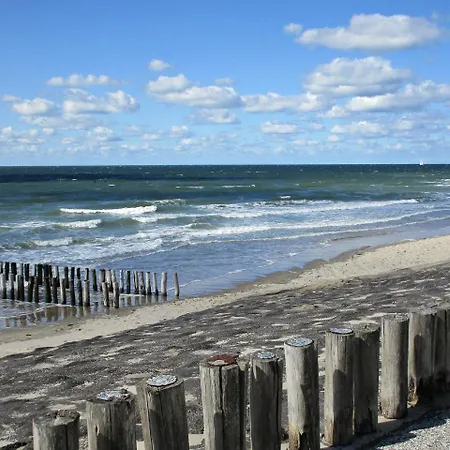 Westerschelde B&B-3