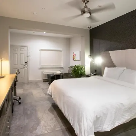 House Hotel-3