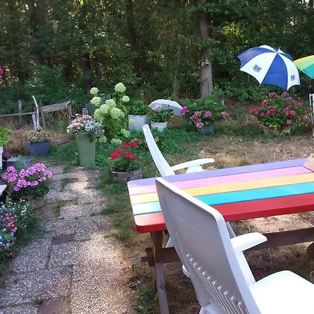 Regina Vught-2