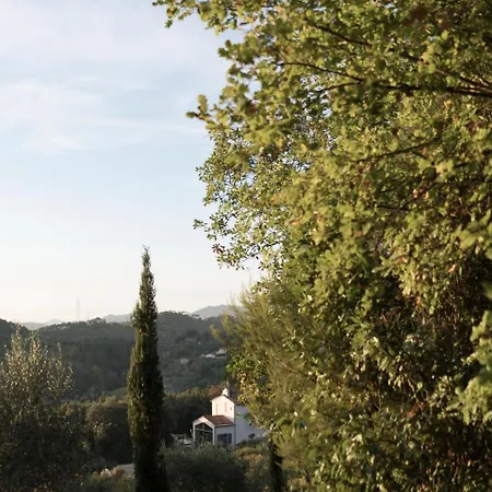 B&B La Fustaia-2