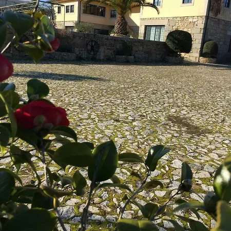Quinta Da Vinha Morta-3